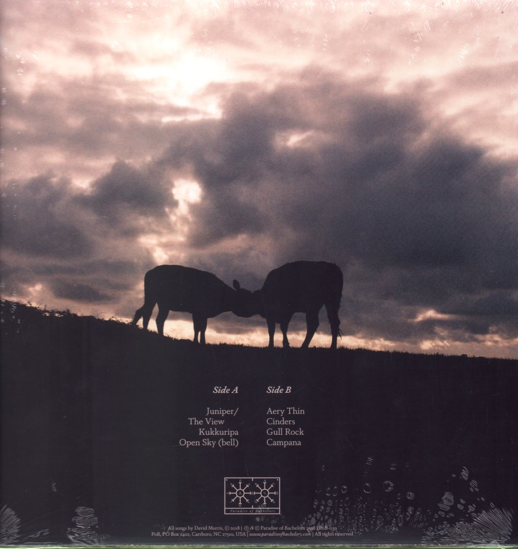 Red River Dialect - Broken Stay Open Sky - Lp