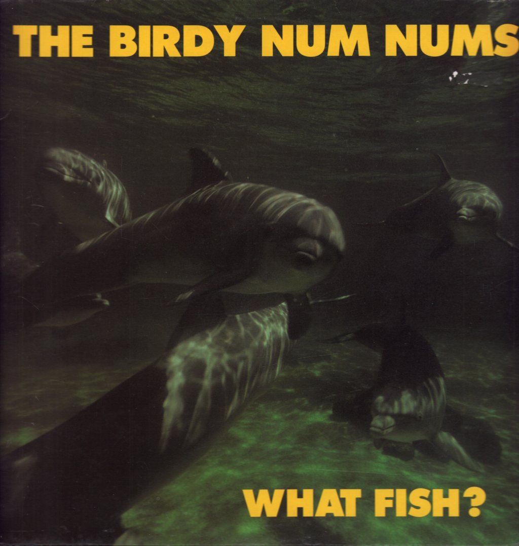 Birdy Num Nums - What Fish? - Lp
