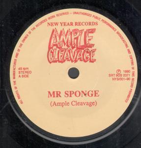 Ample Cleavage - Mr Sponge - 7 Inch