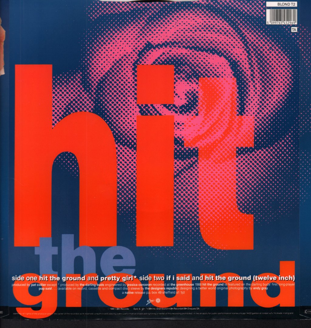 Darling Buds - Hit The Ground - 12 Inch