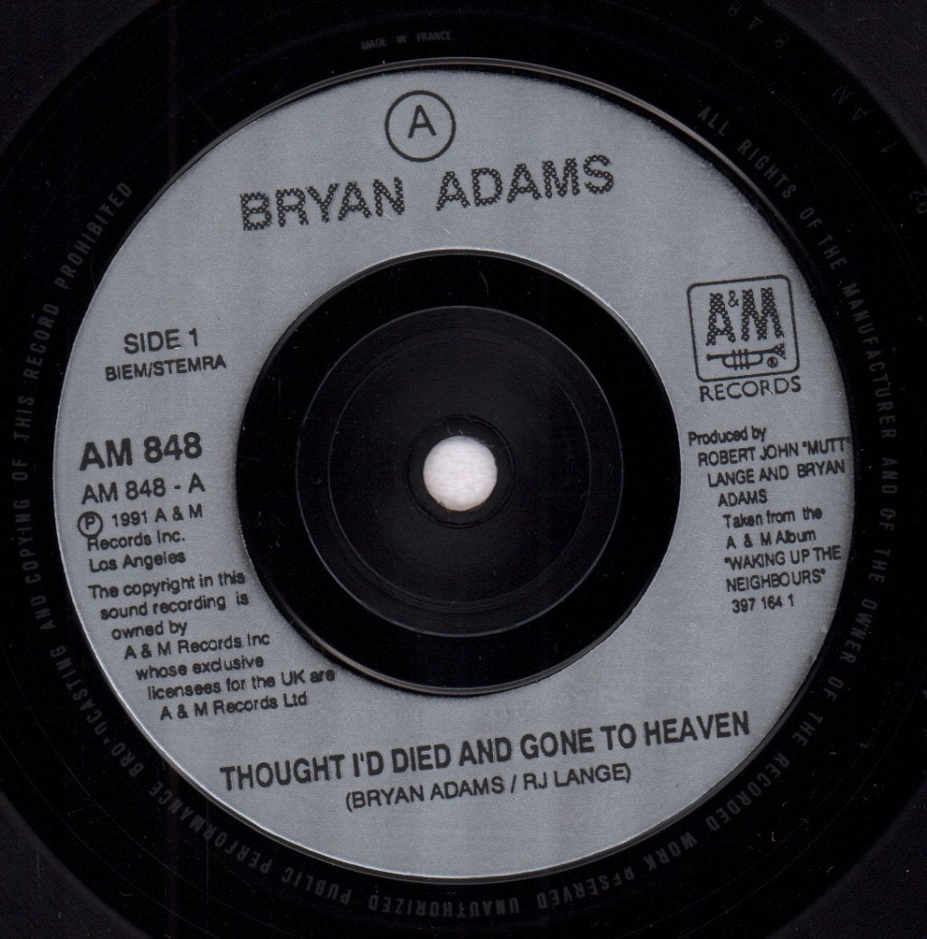 Bryan Adams - Thought I'd Died And Gone To Heaven - 7 Inch