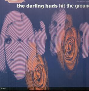 Darling Buds - Hit The Ground - 12 Inch