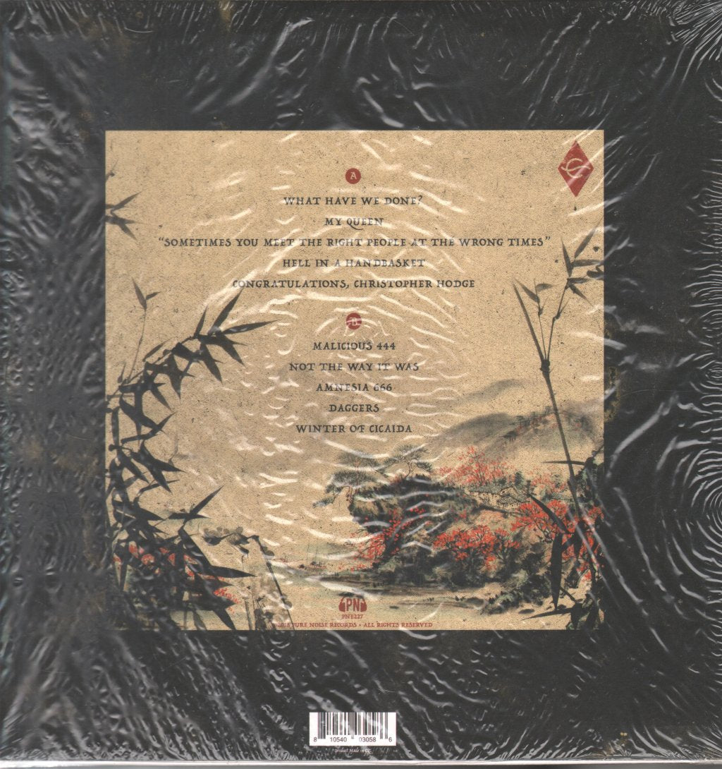 Can't Swim - This Too Won't Pass - Lp