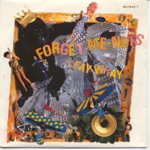 Forget Me Nots - 2 Fay Wray - 7 Inch