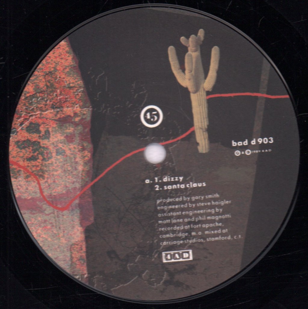 Throwing Muses - Dizzy - 10 Inch