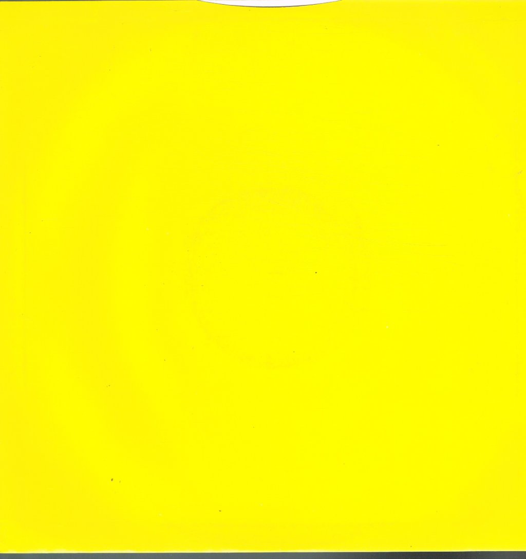 Paul McCartney - Flowers In The Dirt - Lp