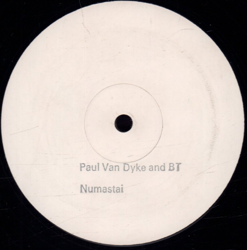 BT & Paul van Dyk - Namastai - 12 Inch