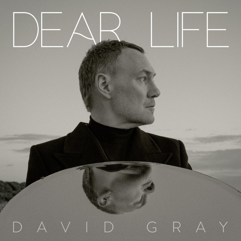 David Gray - Dear Life - Double Lp