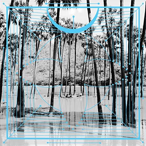Four Tet - Pink - Double Lp