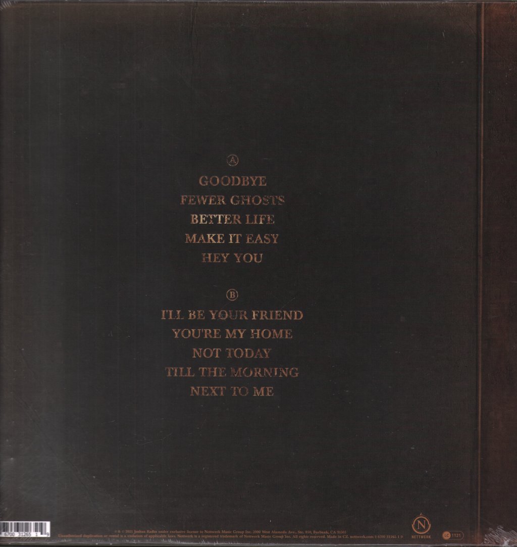 Joshua Radin - Ghost And The Wall - Lp