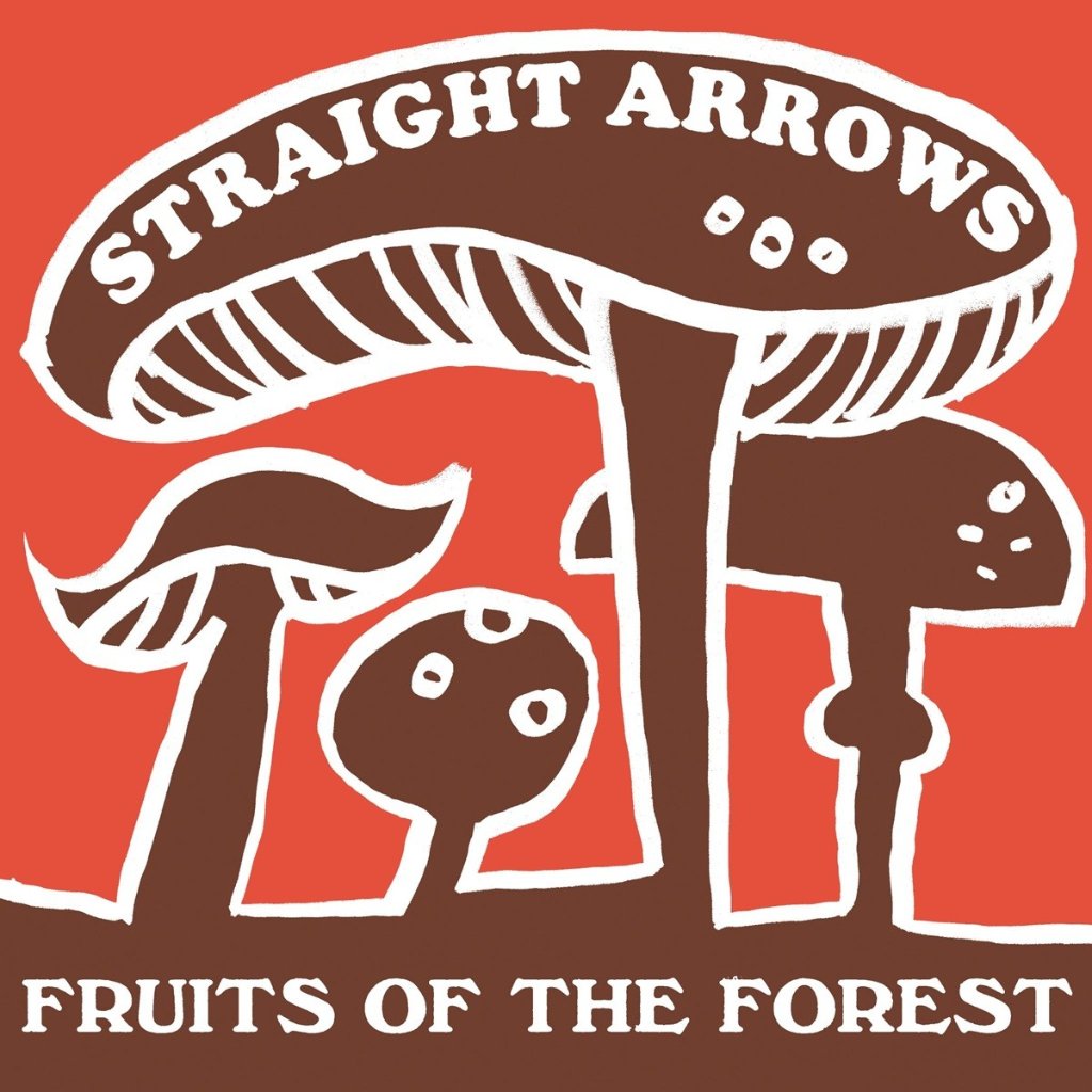 Straight Arrows - Fruits From The Forest - Lp