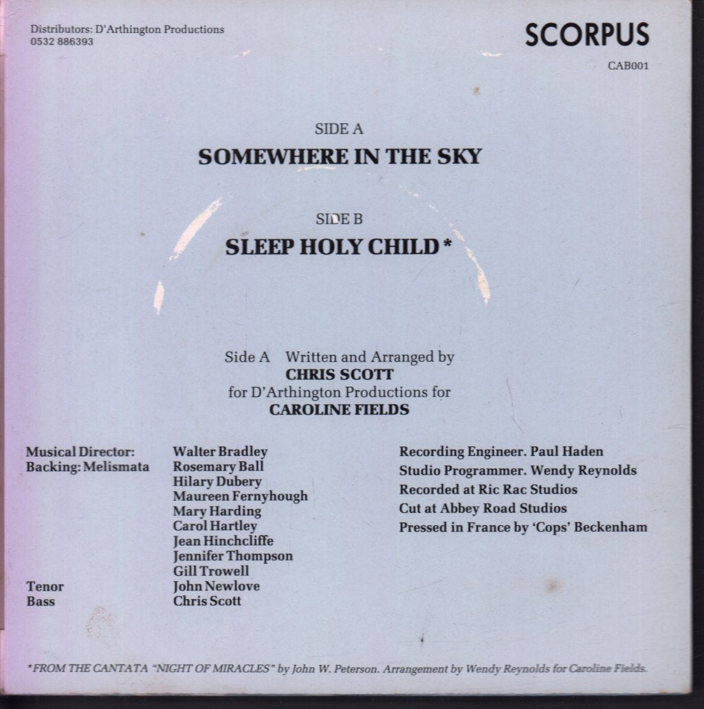 Caroline Fields - Somewhere In The Sky - 7 Inch