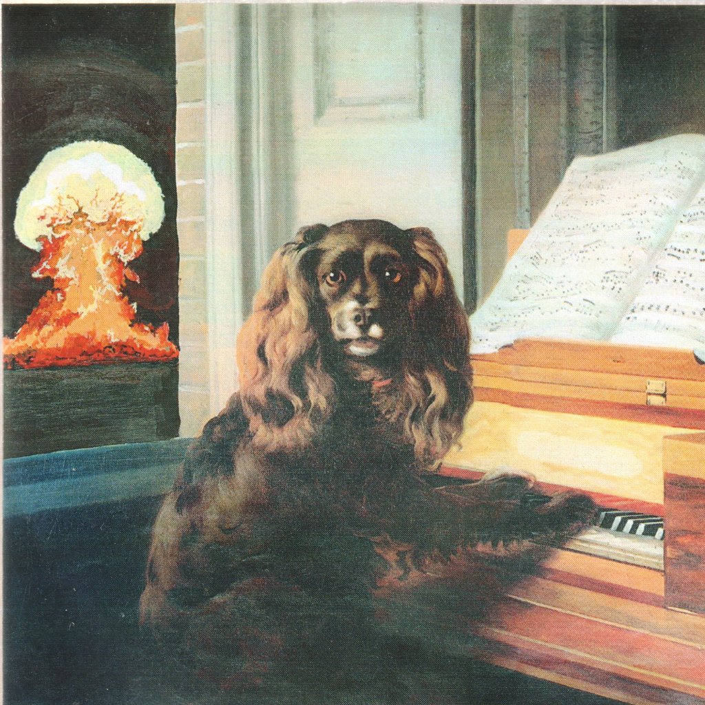 pill (us no wave group) - Soft Hell - Cdr
