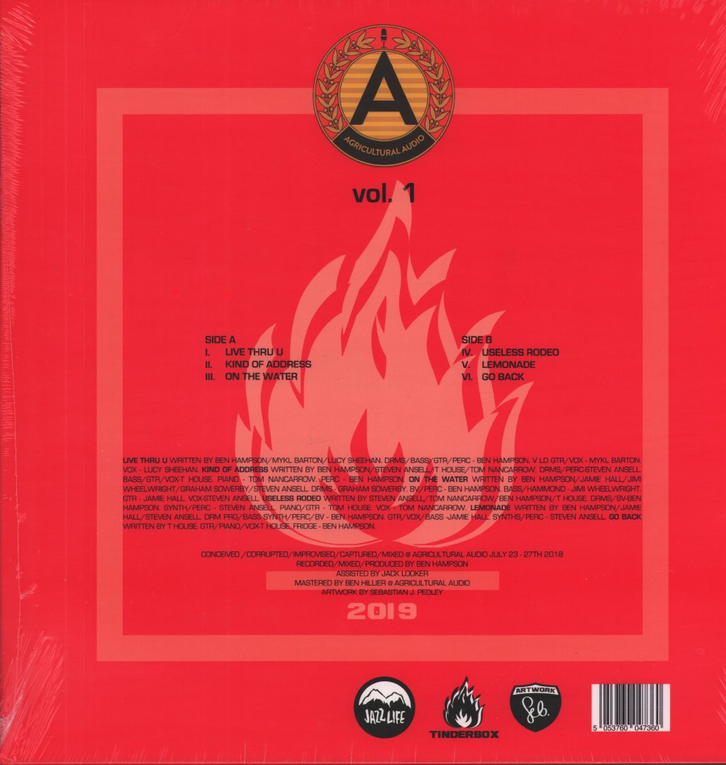 AA Sessions - AA Sessions Vol. 1 (Fire Assembly Point) - Lp