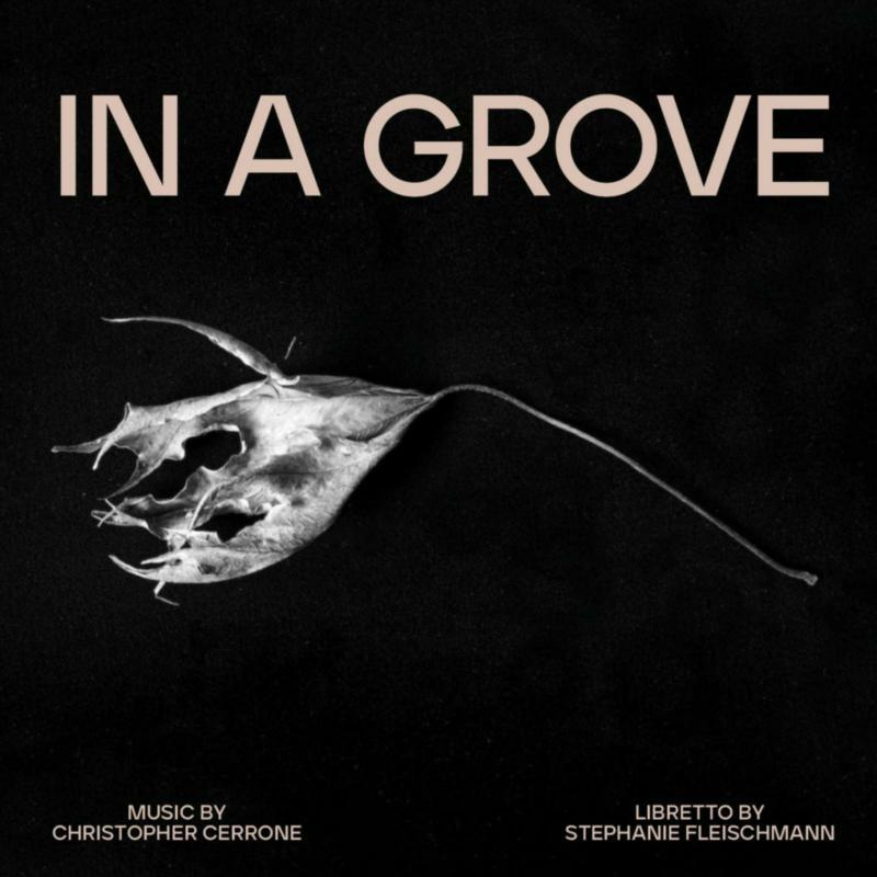 Christopher Cerrone - In A Grove - Cd