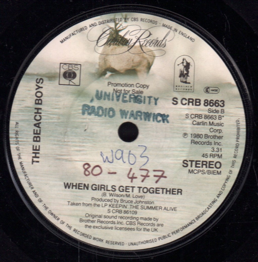 Beach Boys - Keepin' The Summer Alive - 7 Inch