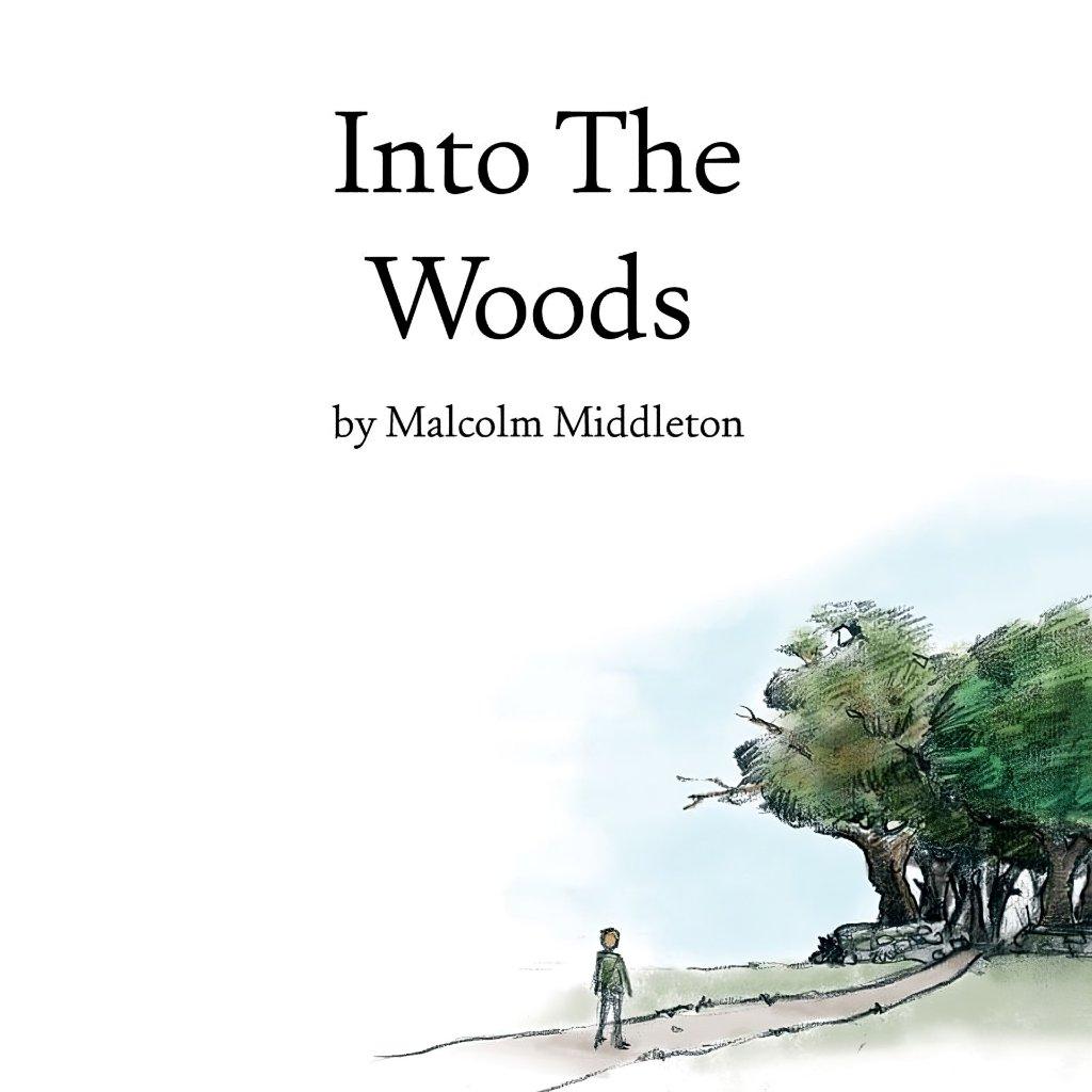 Malcolm Middleton - Into the Woods - Lp