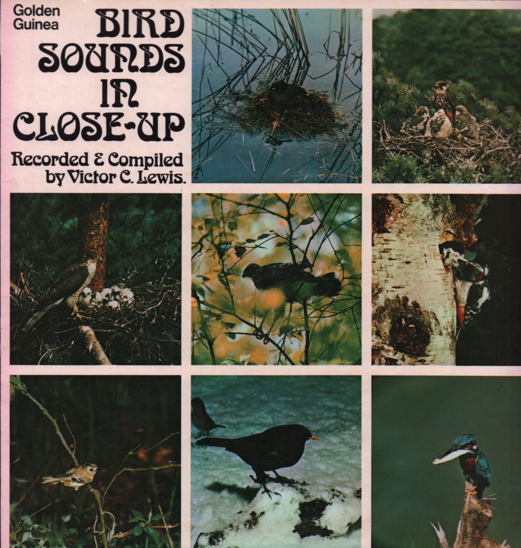 Bird Sounds In Close Up - Recorded And Compiled By Victor C Lewis - Lp