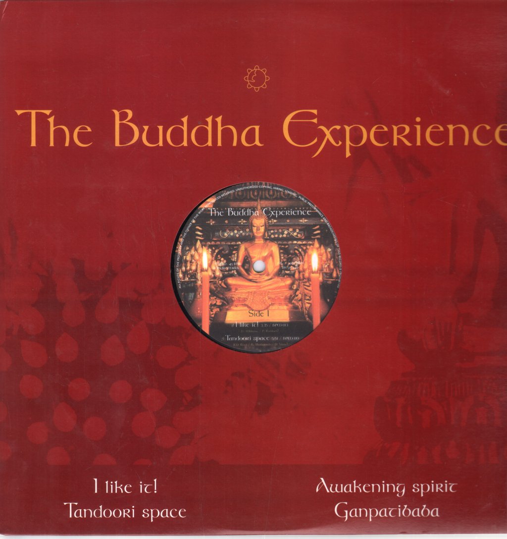 Various Artists - Buddha Experience - 12 Inch