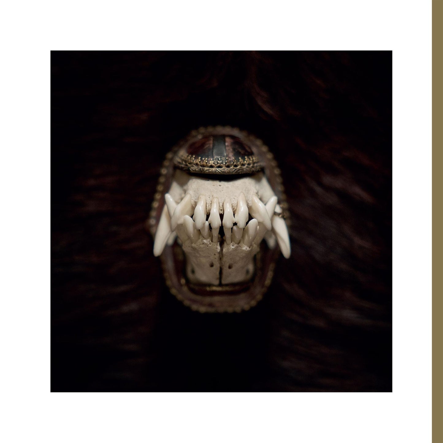 Amenra - De Toorn - 12 Inch