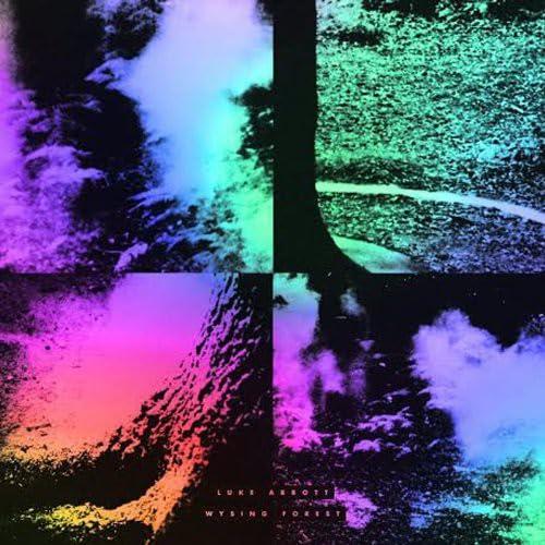Luke Abbott - Wysing Forest - Lp