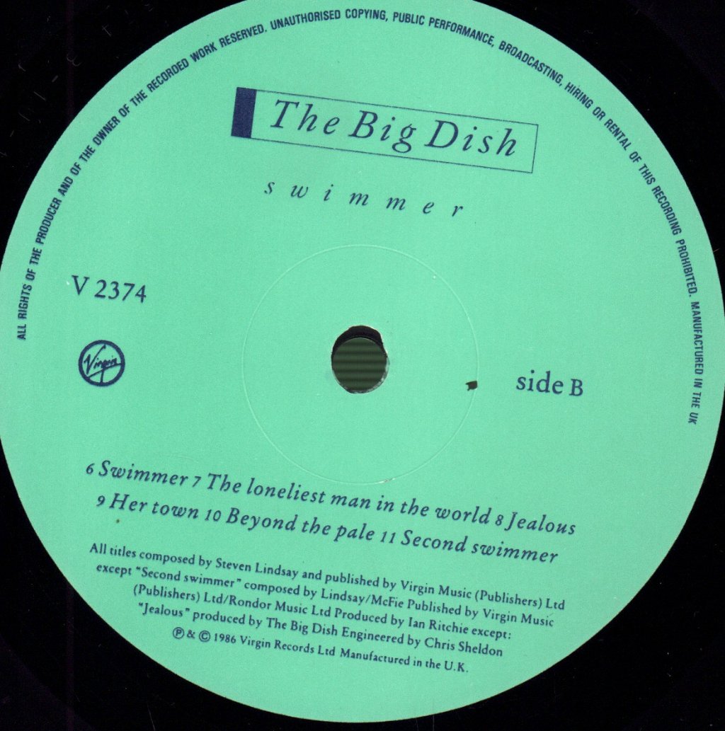 Big Dish - Swimmer - Lp