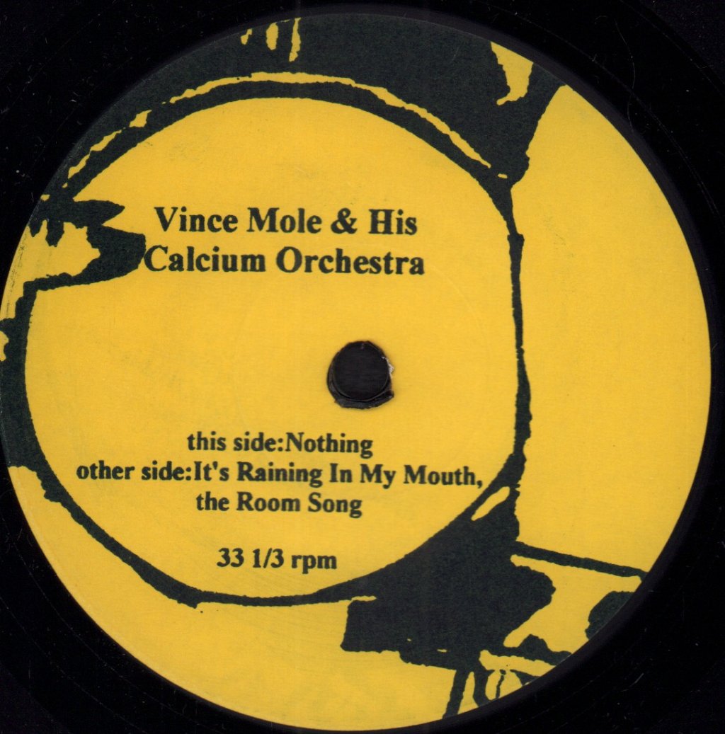 Vince Mole And His Calcium Orchestra - Nothing - 7 Inch