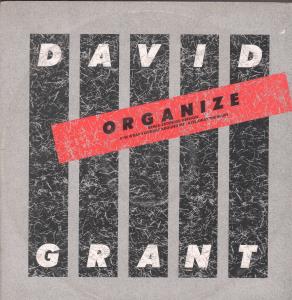 David Grant - Organize - 12 Inch