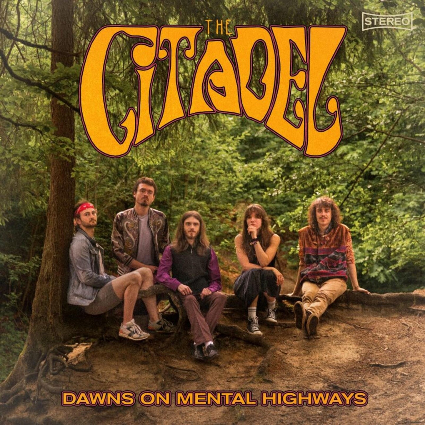 Citadel - Buzzard - Lp