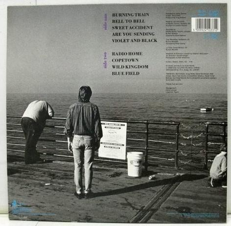 Scott Merritt - Violet And Black - Lp