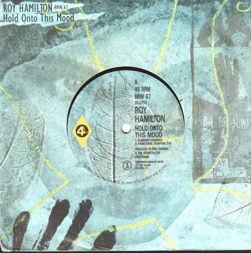 Roy Hamilton (Disco) - Hold Onto This Mood - 7 Inch