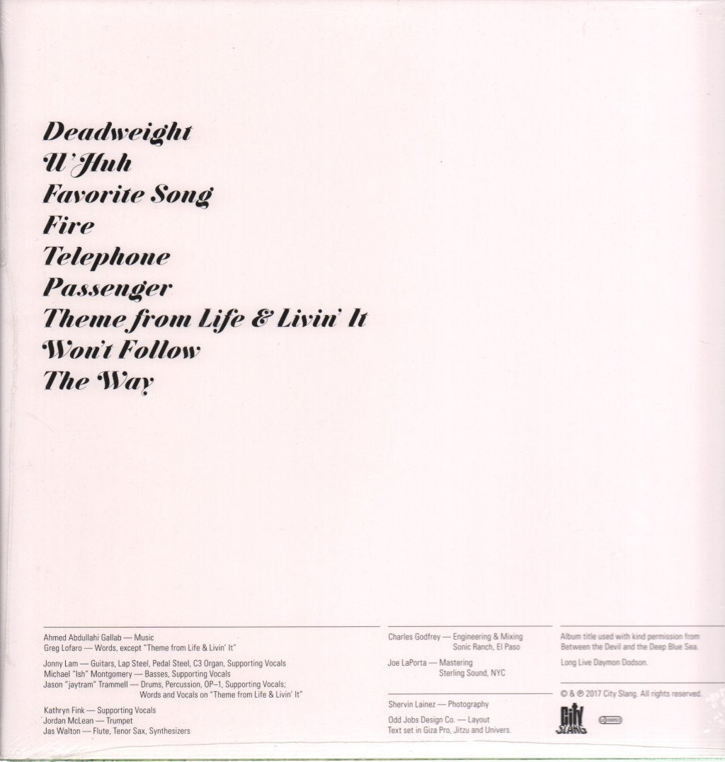 Sinkane - Life & Livin' It - Lp