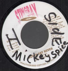 Mickey Spice - Never Say Never - 7 Inch