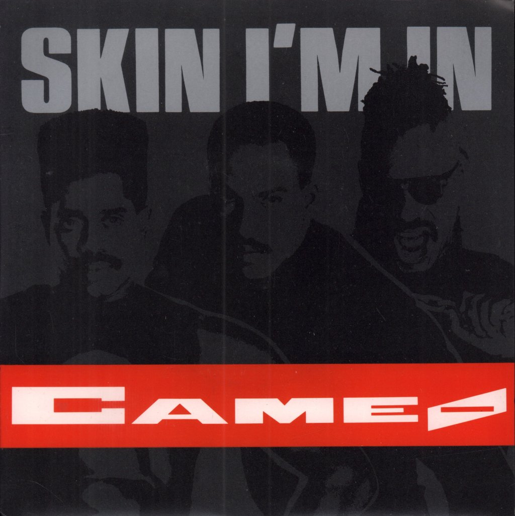 Cameo (Funk Group) - Skin I'm In - 7 Inch