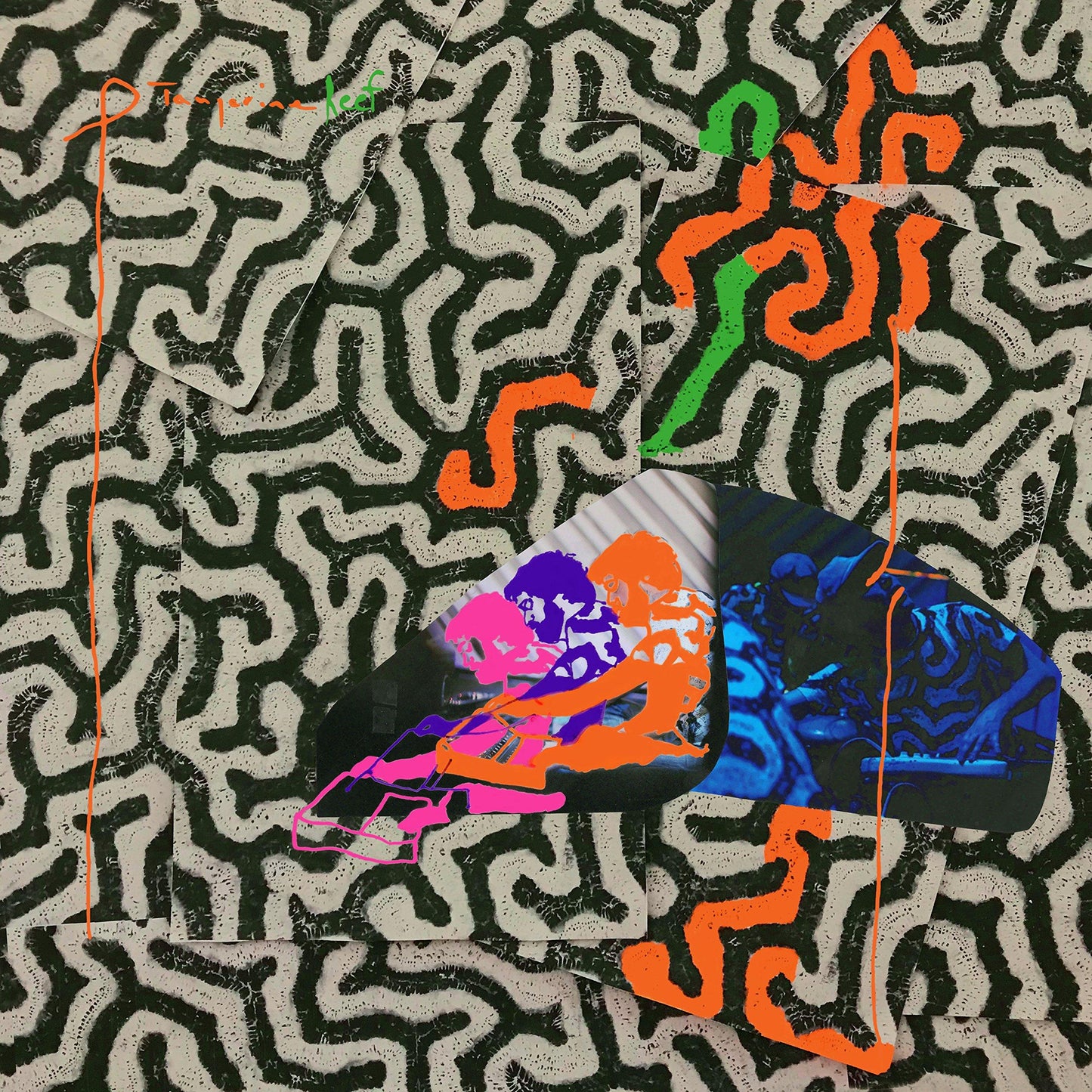 Animal Collective - Tangerine Reef - Double Lp