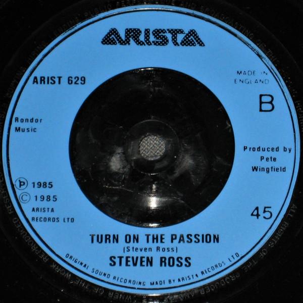 Steven Ross - Then There Was You - 7 Inch