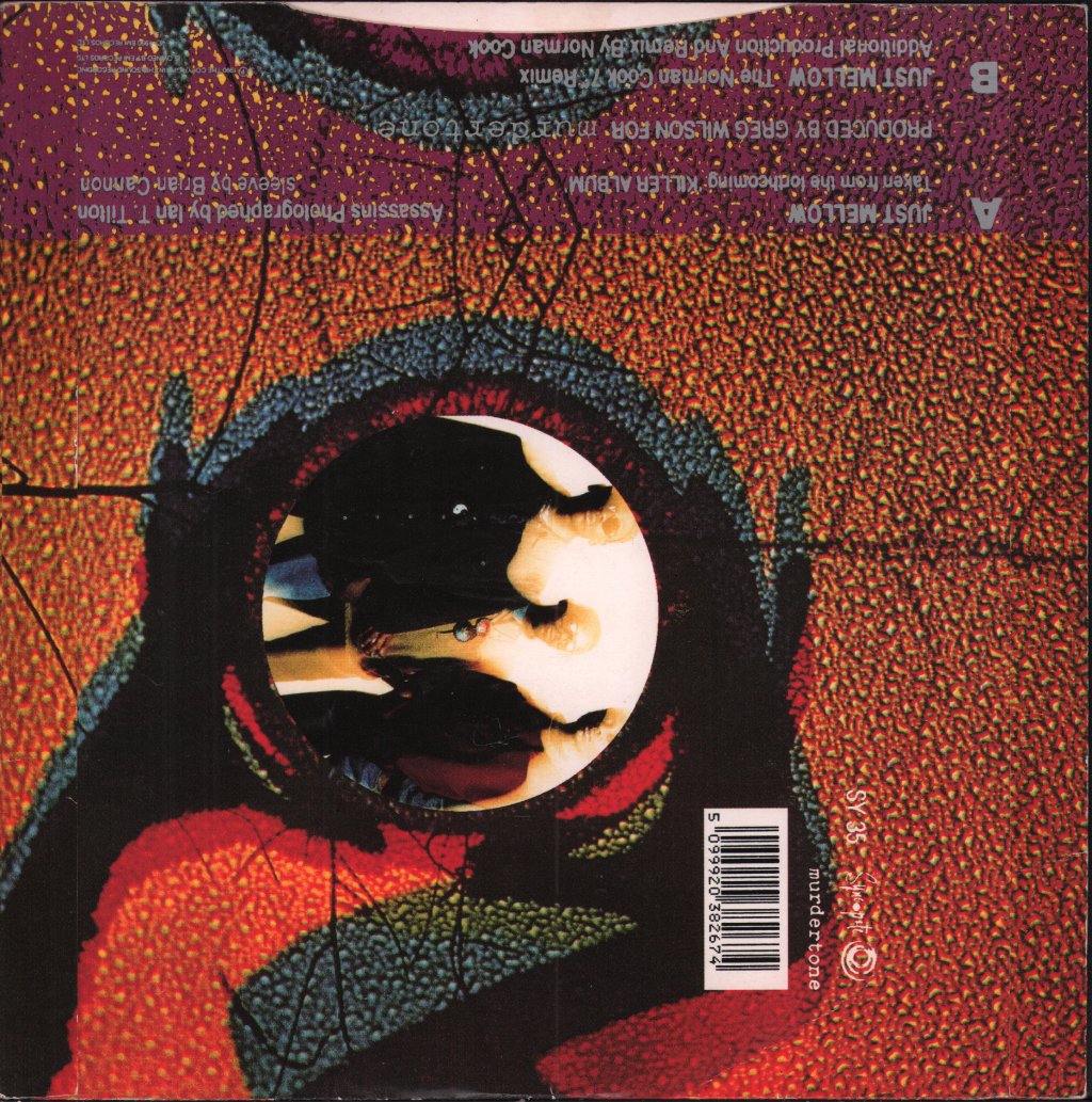 Ruthless Rap Assassins - Just Mellow - 7 Inch