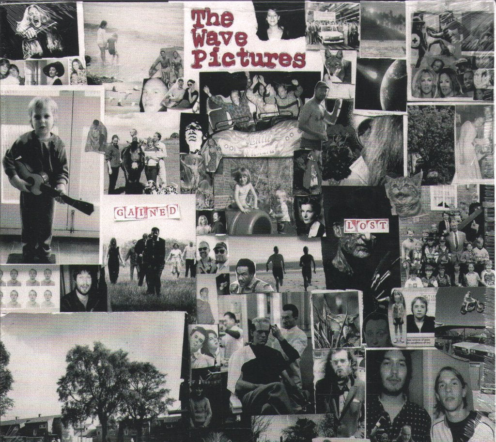 Wave Pictures - Gained/Lost - Cd