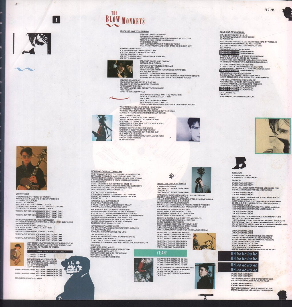 Blow Monkeys - She Was Only A Grocer's Daughter - Lp