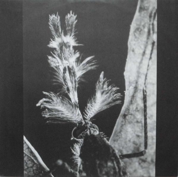 Stan Ridgway - Mosquitos - Lp