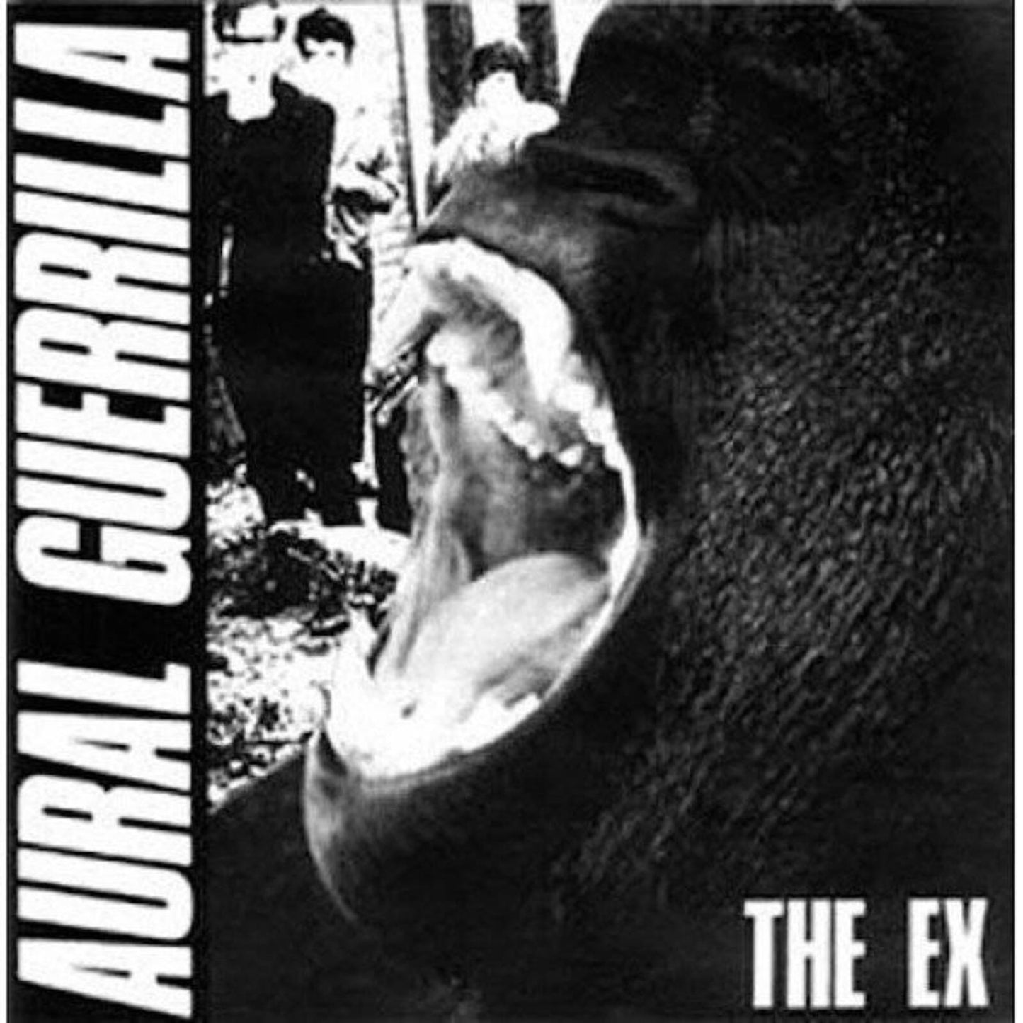 Ex - Aural Guerrilla - Lp