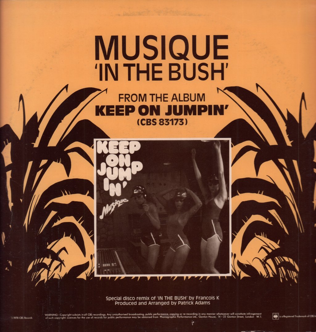 Musique - In The Bush - 12 Inch