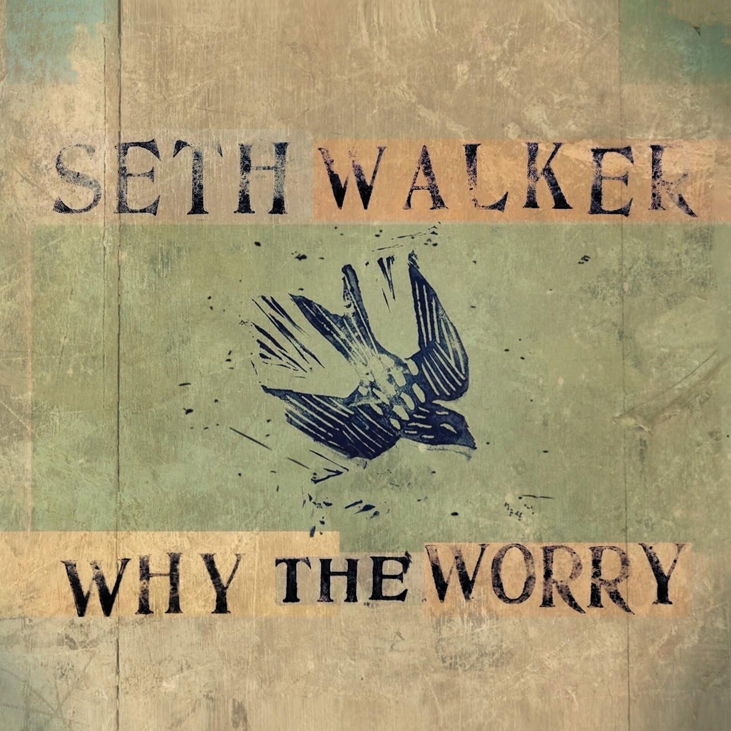 Seth Walker - Why the Worry - Lp
