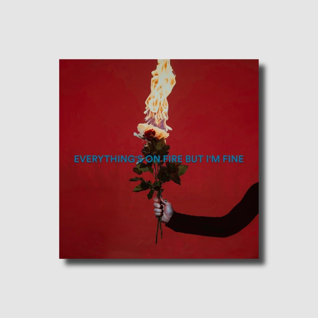 As December Falls - Everything's On Fire But I'm Fine (Deluxe Cd) - Cd