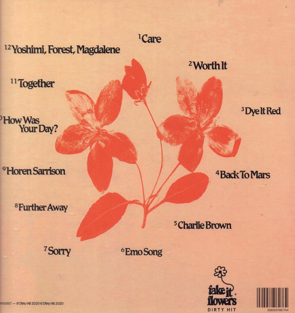 beabadoobee - Fake It Flowers - Lp