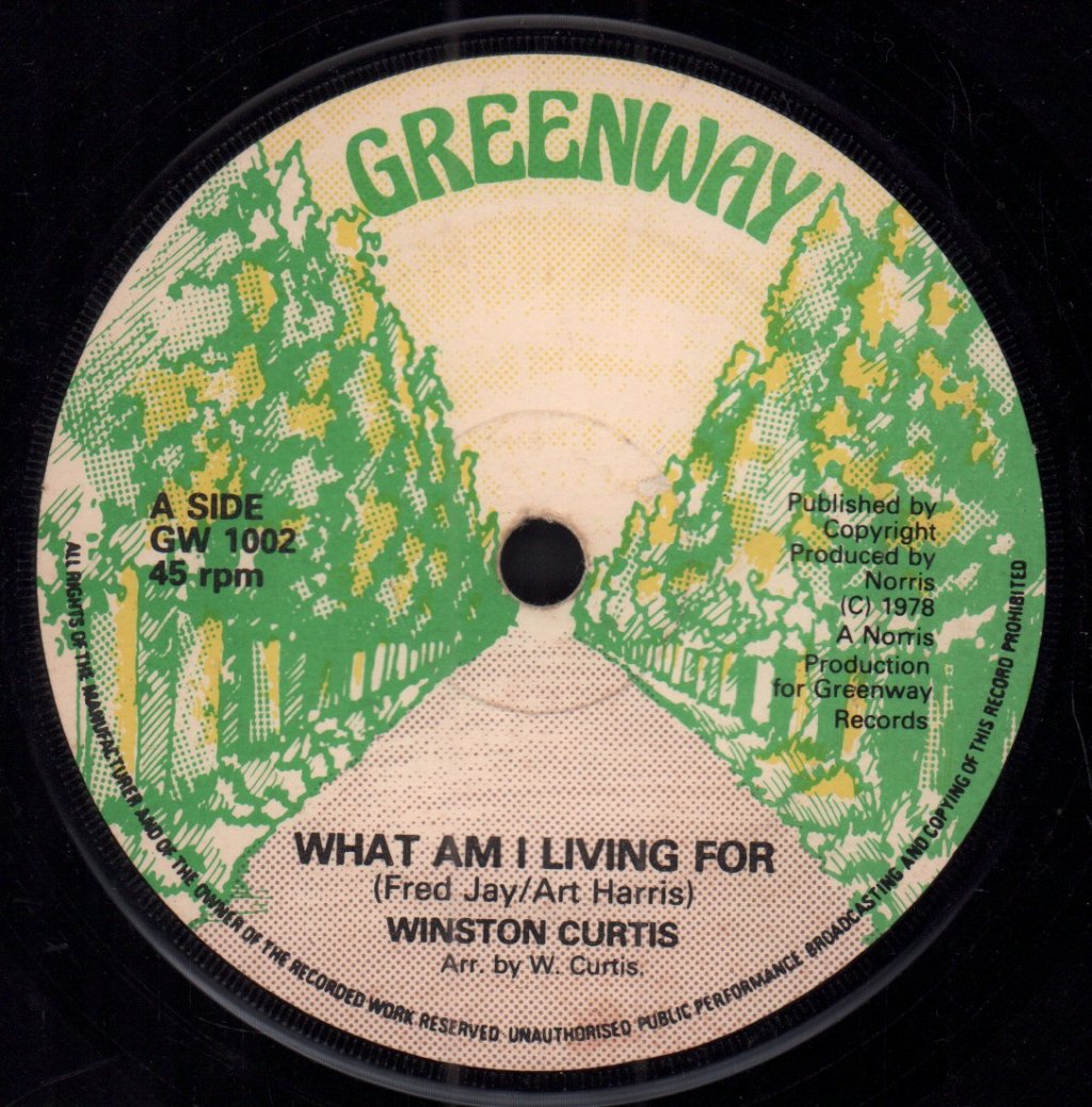Winston Curtis - Endlessly / What Am I Living For - 7 Inch