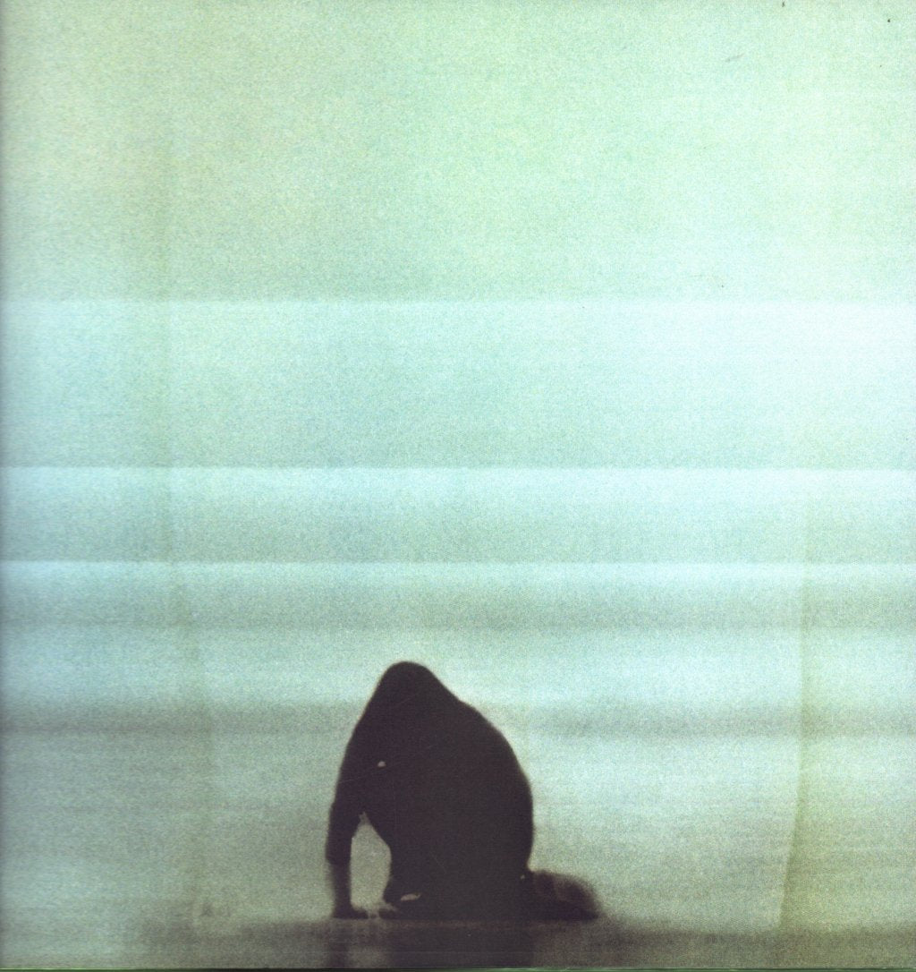 Foals - What Went Down - Lp