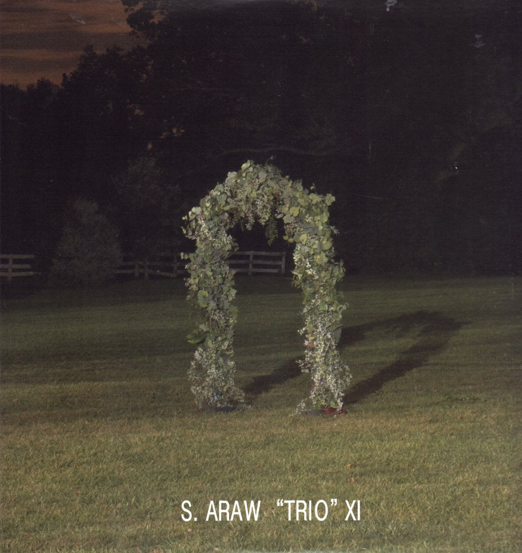 S. Araw "Trio - Gazebo Effect - Double Lp
