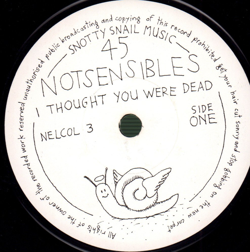 Notsensibles - I Thought You Were Dead - 7 Inch