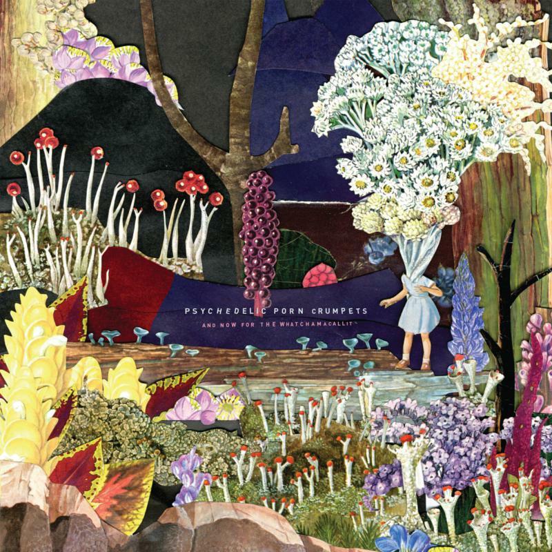 Psychedelic Porn Crumpets - And Now For the Whatchamacallit - Cd